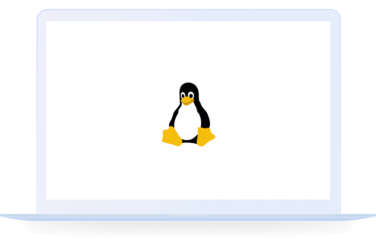 兼容主流国产Linux系统的有道翻译